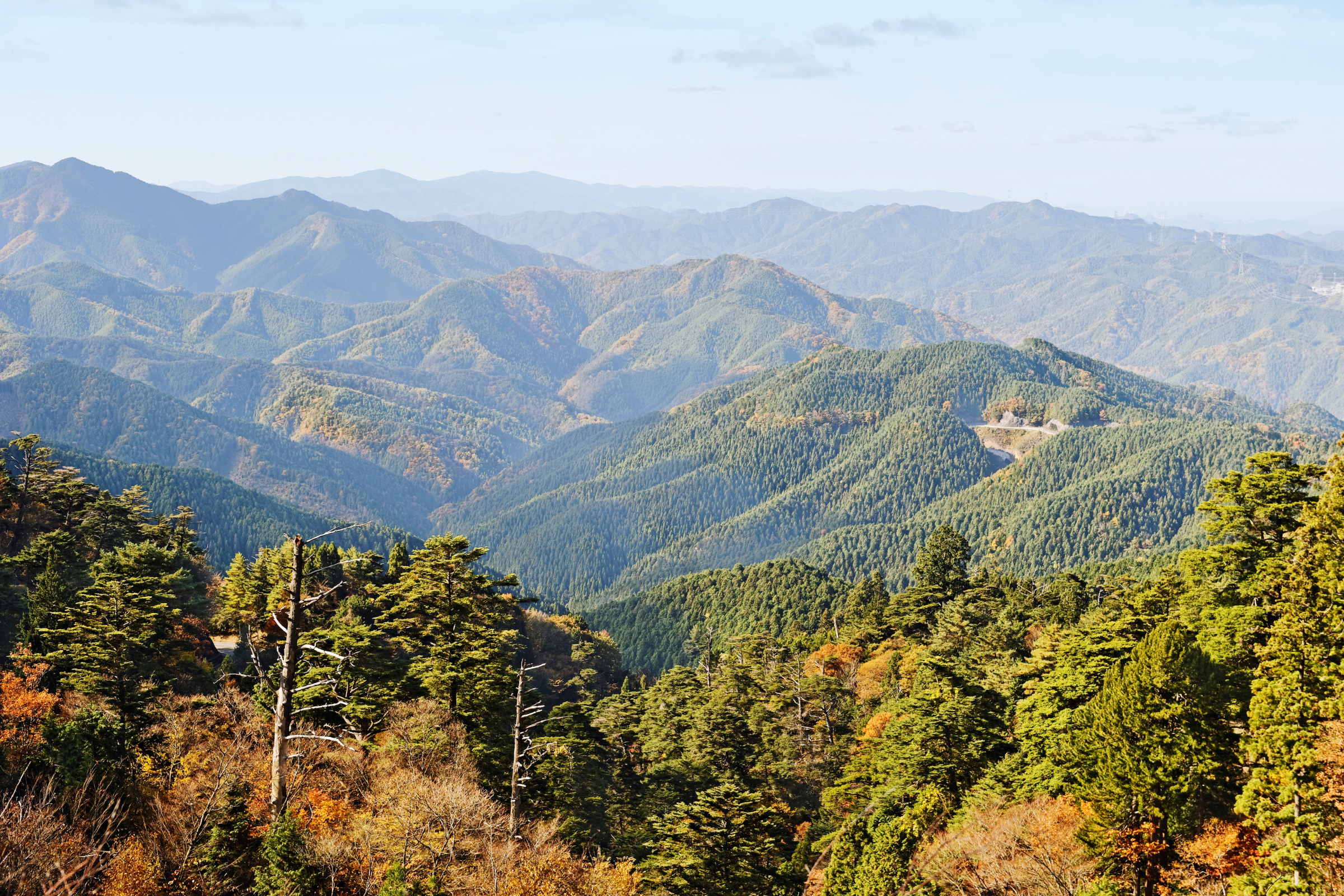 koyasan mountain (3).webp